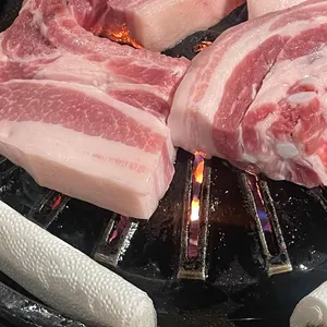돼지야 사진
