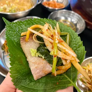 꽃도니 사진