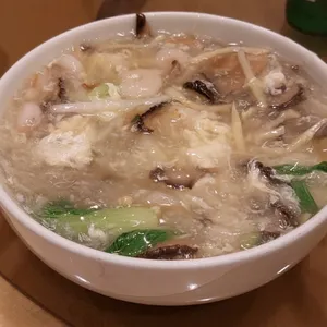 매화 사진