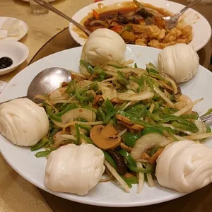 매화 사진