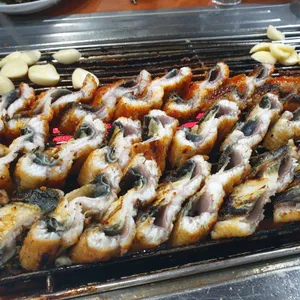 암사민물장어 사진