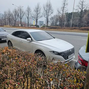 빈체로 리뷰 사진