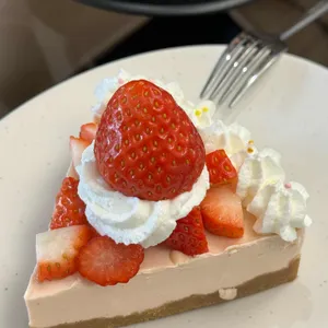 오고르 사진