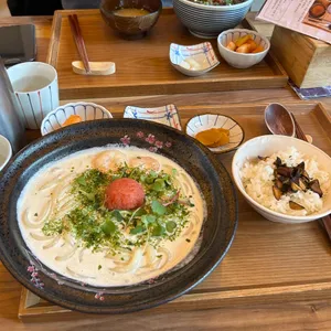 메시 사진