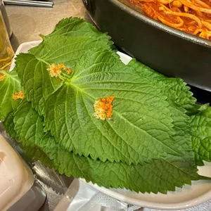 연탄불막창 리뷰 사진