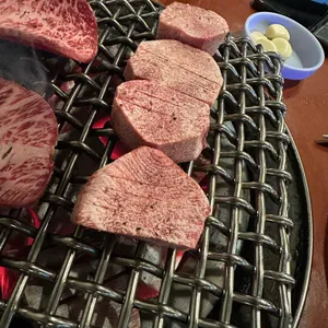 초원 리뷰 사진