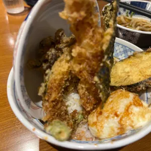 온센 사진