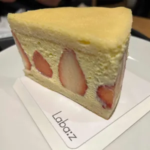 라바즈 사진