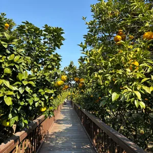 숨도카페 리뷰 사진