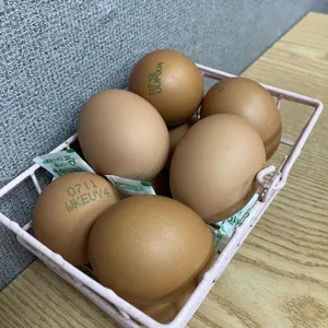 최가네촌국수 사진