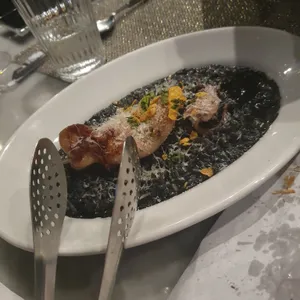 트라고 사진