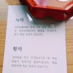 서귀다원 리뷰 사진