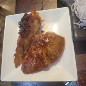 필참치 사진