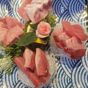 필참치 사진