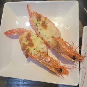필참치 사진