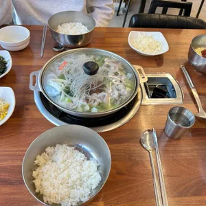 개미집 사진