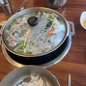 개미집 사진
