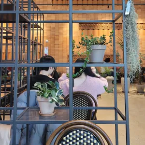 투힐스 리뷰 사진