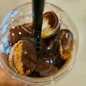 물왓동네 사진