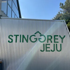스팅그레이 리뷰 사진
