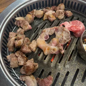 태양생고기 사진