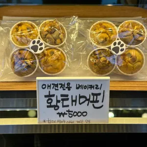 아메리카 리뷰 사진
