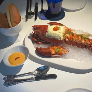 코타바이 뎐 사진