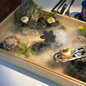 코타바이 뎐 사진
