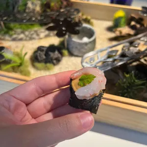 코타바이 뎐 사진
