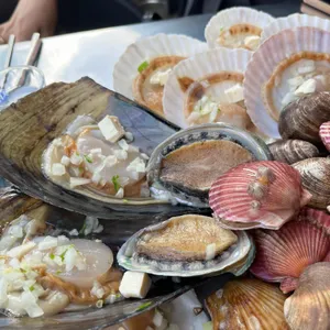 지금조개 사진