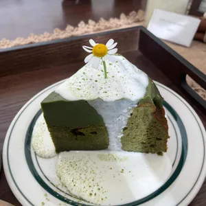카페 를 사진