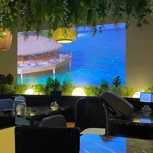 오라클80 리뷰 사진