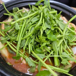 등촌샤브칼국수 사진