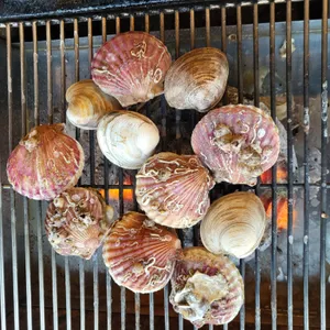 세종조개창고 사진
