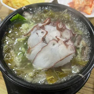 속초문어국밥 리뷰 사진