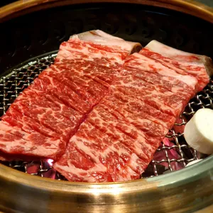 우설화 사진