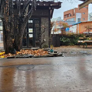 오가닉 모가 리뷰 사진