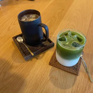 델픽 사진