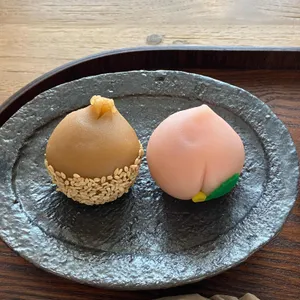 가봉반과 사진