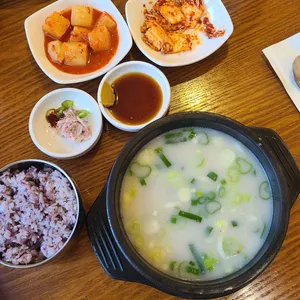 소나무풍경 사진