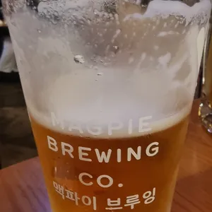 스피닝울프 사진