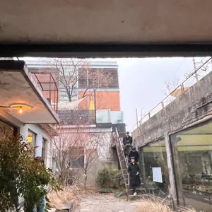 어니언 리뷰 사진