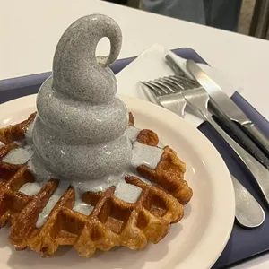 베티버 사진