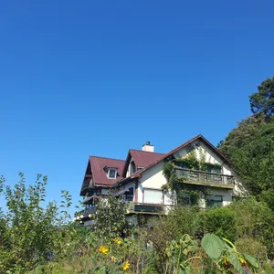 리체 리뷰 사진