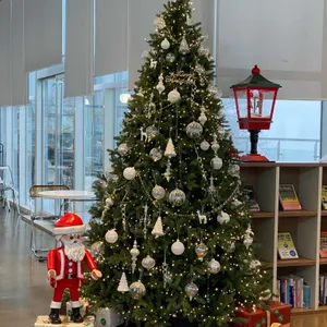 홀리몰리 리뷰 사진