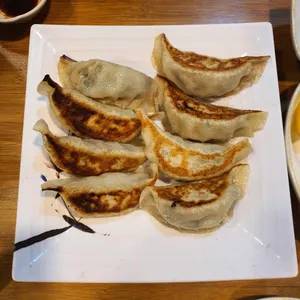 차이치 사진