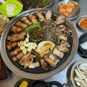 육덕돼지 사진