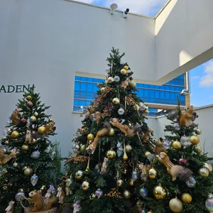 아덴플러스 리뷰 사진