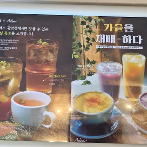 아덴플러스 리뷰 사진