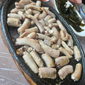 해변짚불곰장어 사진